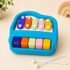 Kids Musical Xylophone Toy with Mallets