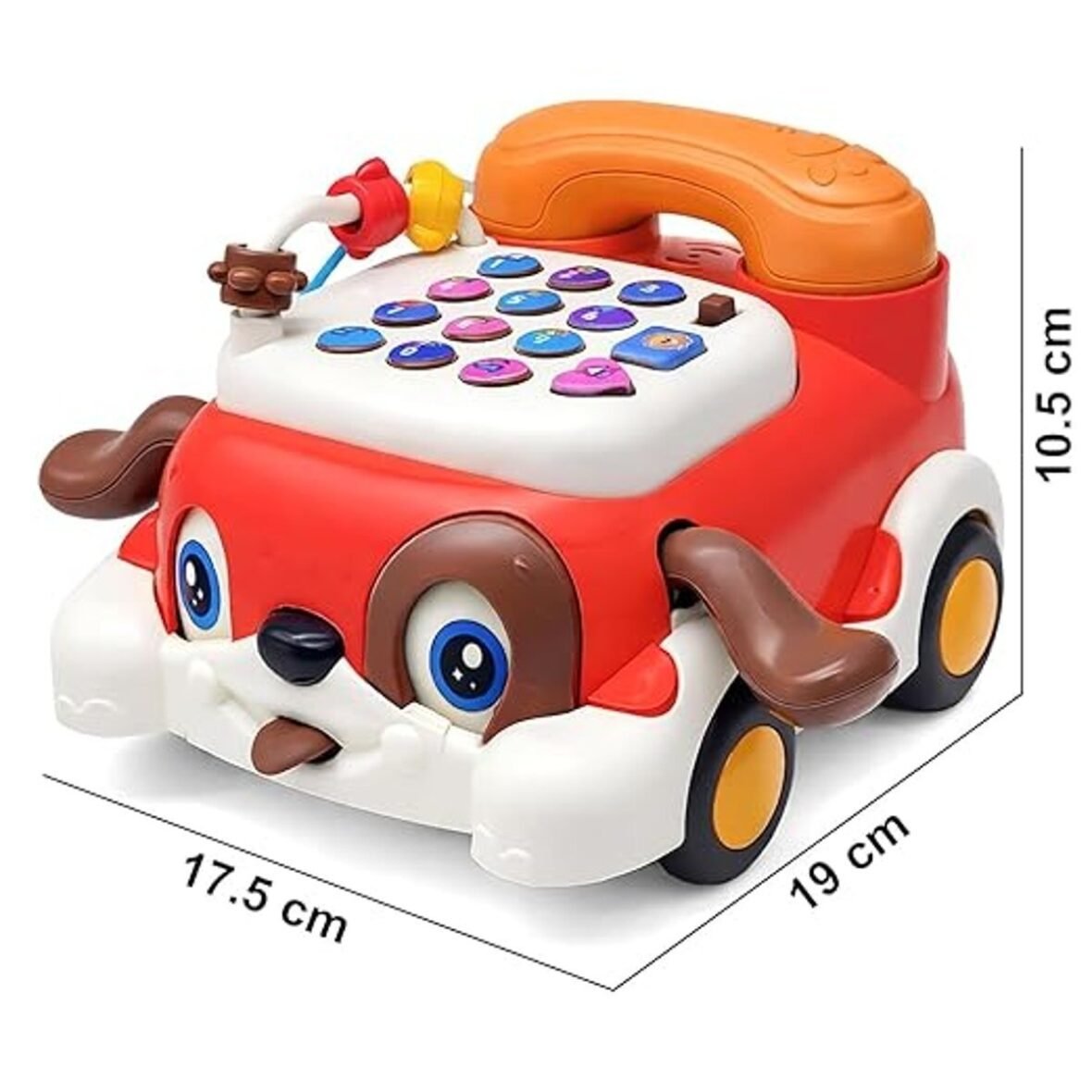 educational_dog-1-1-1.jpg